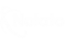 nolato logo in white color