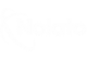 nolato logo in white color